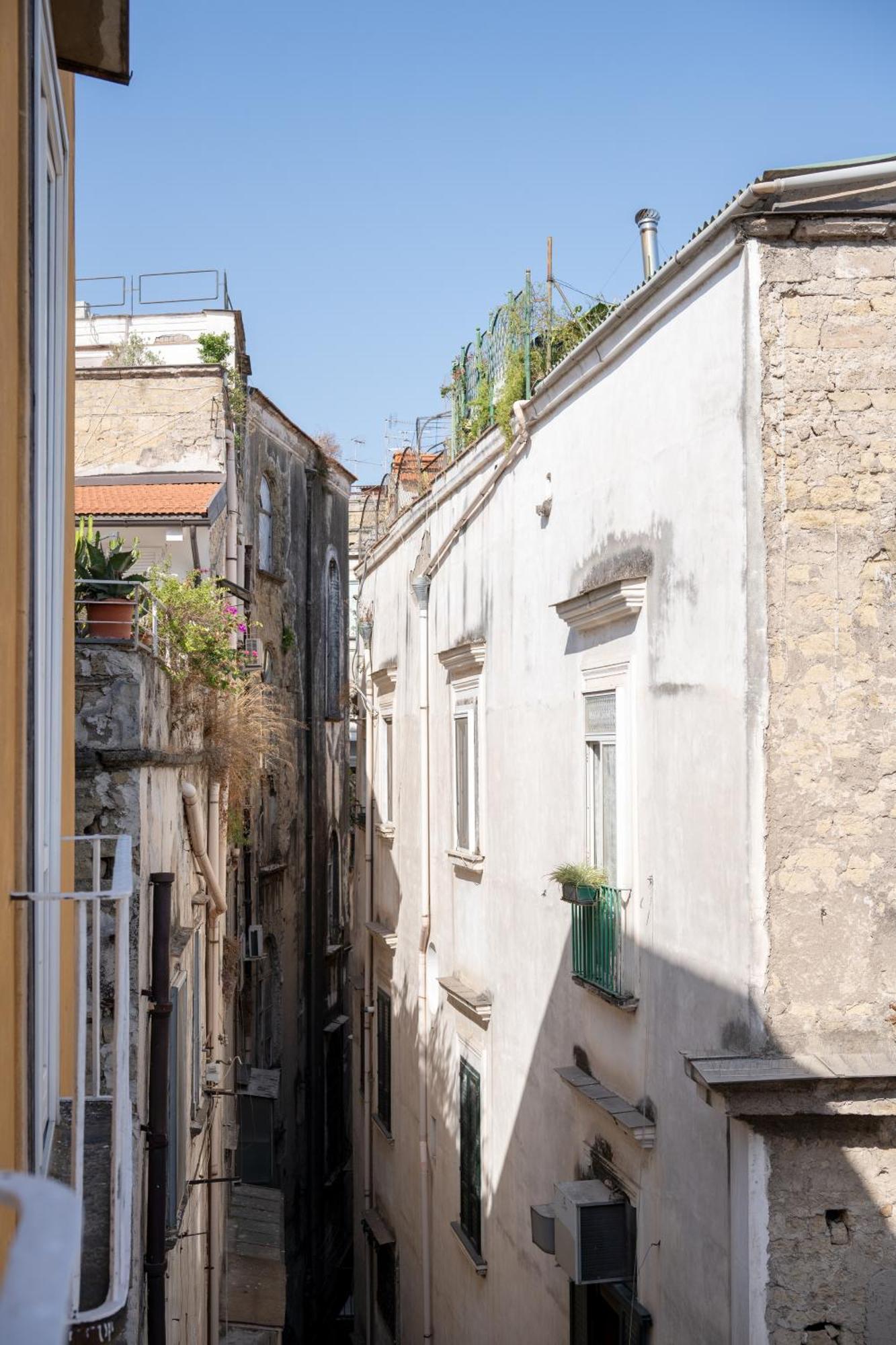 Velato Carafa Palace By Dimorra Guest house